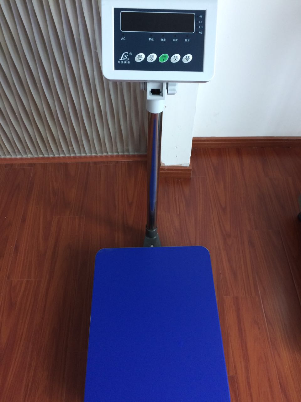 TCS-B10電子計(jì)重臺(tái)秤