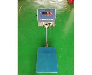 本安型防爆電子臺秤