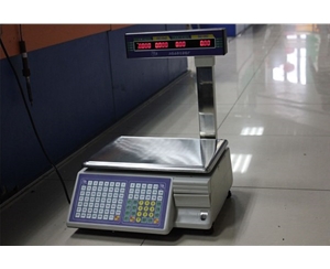 大華條碼秤標(biāo)簽秤條形碼掃描秤TM-A打印秤