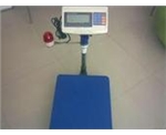 帶上下限報警燈功能電子臺秤